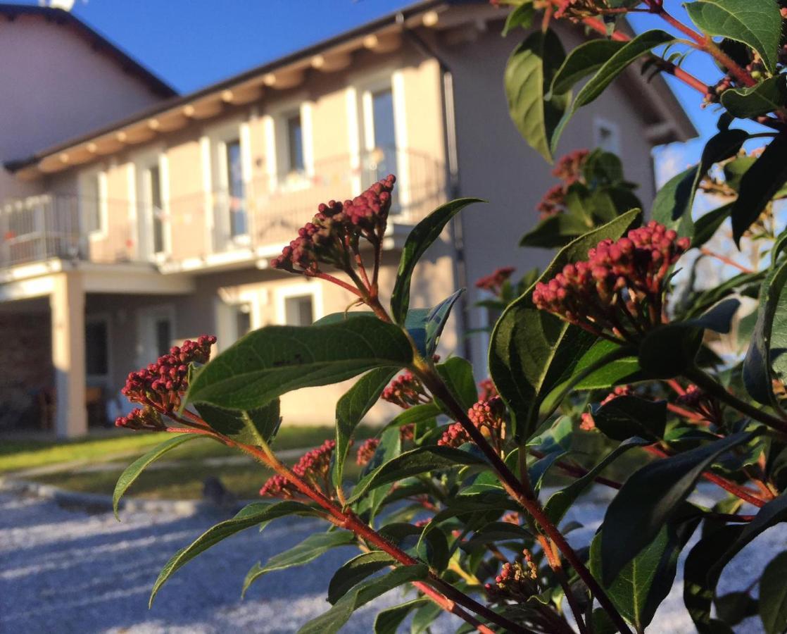 Happy Hill - Appartamento Quercia - Natura E Relax Santa Maria Rocca Екстериор снимка