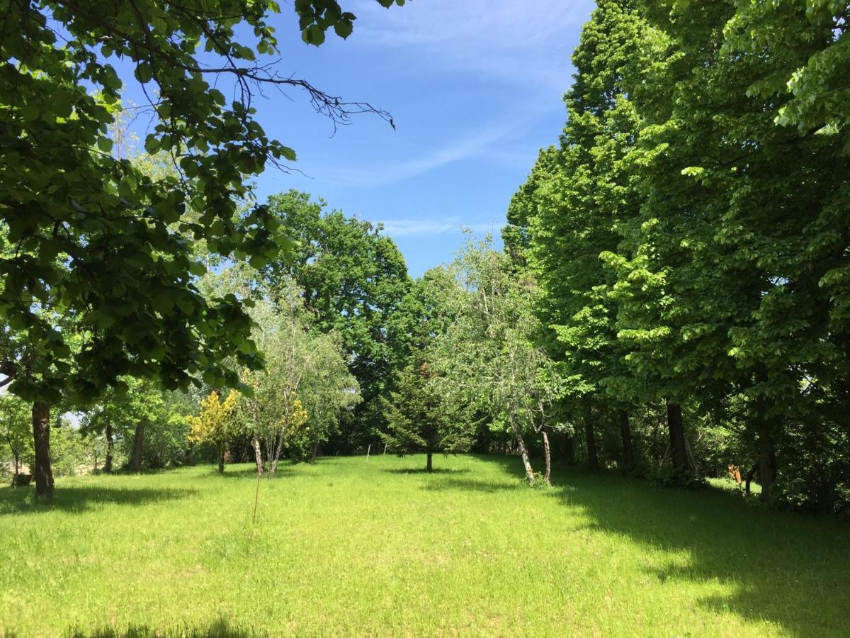 Happy Hill - Appartamento Quercia - Natura E Relax Santa Maria Rocca Екстериор снимка