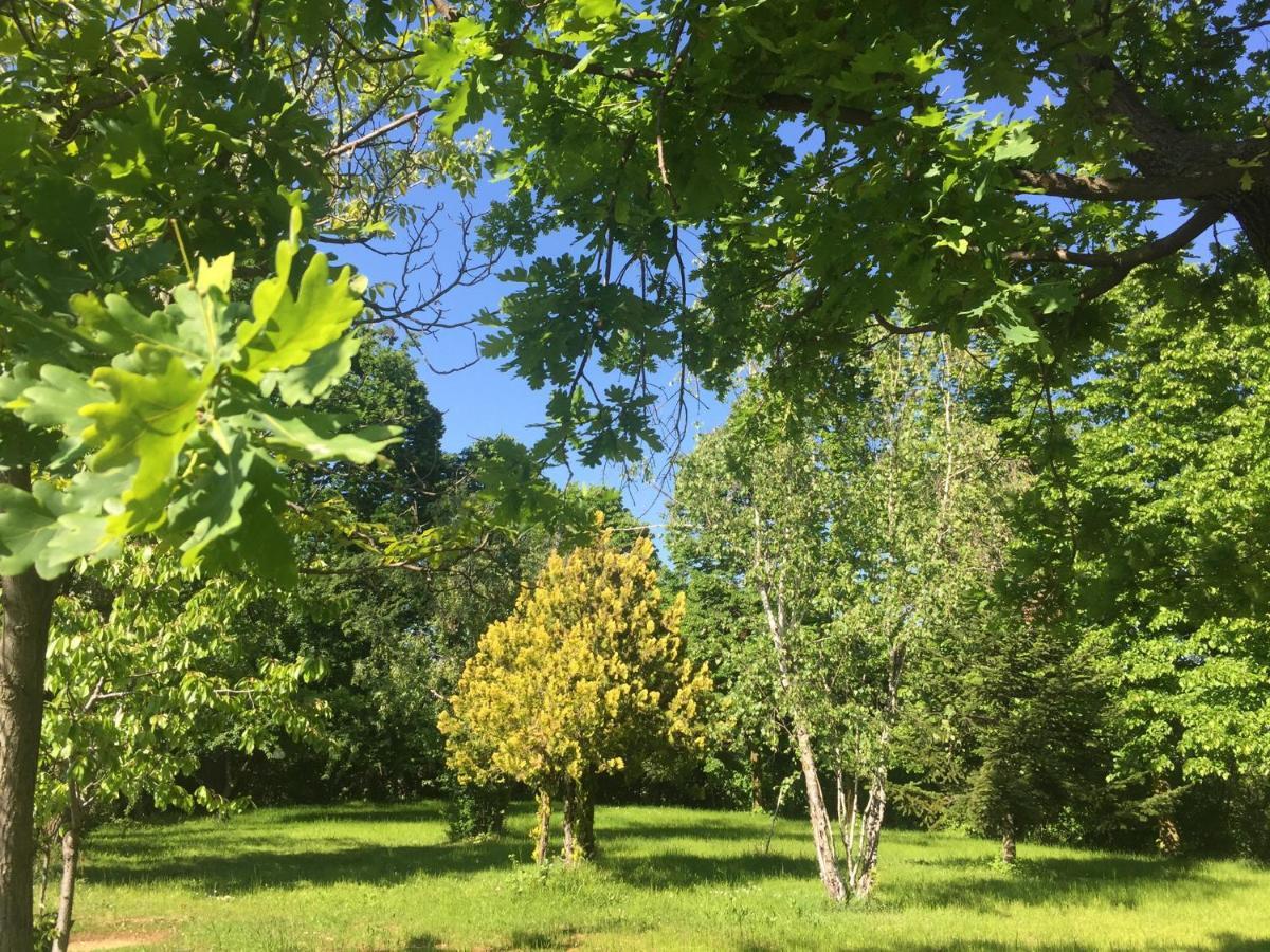 Happy Hill - Appartamento Quercia - Natura E Relax Santa Maria Rocca Екстериор снимка